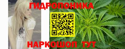 шишки Наро-Фоминск
