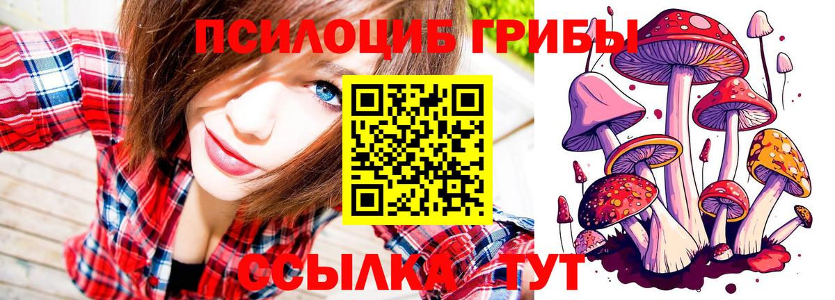 Псилоцибиновые грибы мицелий  Вход с VPN  Северодвинск  Псилоцибиновые грибы GOLDEN TEACHER 