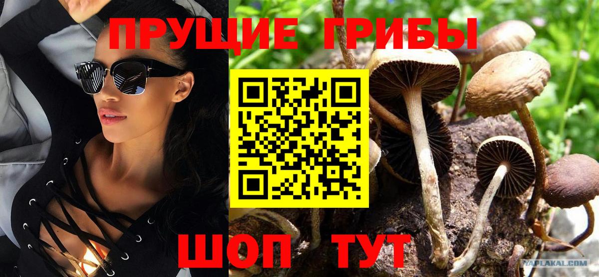 Псилоцибиновые грибы мицелий Северодвинск
